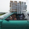 Transporte 15.jpg
